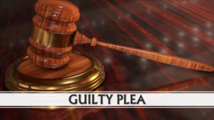 gavel guilty plea